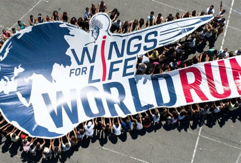 Wings-for-Life-World-Run_stvd_og_image